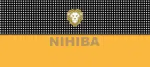 Nicotine Pouches in Abu Dhabi